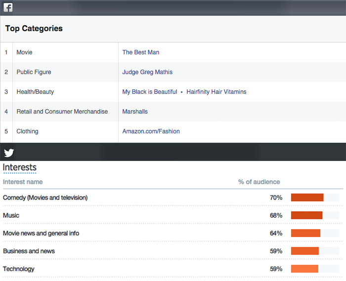 Facebook and Twitter Audience Insights showing the top interests for the community Facebook and Twitter Audience Insights showing the top interests for the community